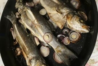 Fırında Levrek Tarifi