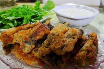 Patlıcan Balığı (Sanki Balık)