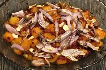 Balkabağı Sinkonta