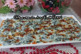 Nefis Ispanak Borani Tarifi