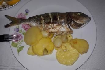 Nefis Fırında Çipura