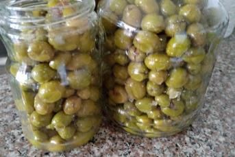 Yeşil Zeytin Yapımı