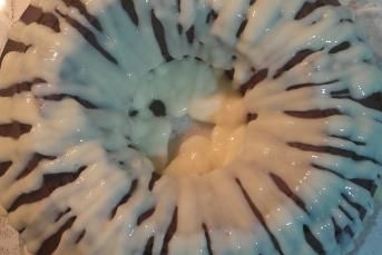 Beyaz Çikolatalı Kokao'lu Kek Tarifi