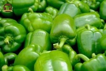 Dolmalık Biber Kurutma