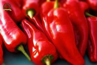 Dondurucuya Koymak İçin Kırmızı Biber Nasıl Yapılır