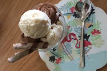 Sade Ve Çikolatalı Dondurma