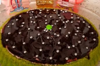 Ispanaklı Kek Yapımı