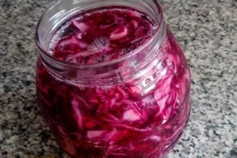 Ev Yapımı Mor Lahana Turşusu