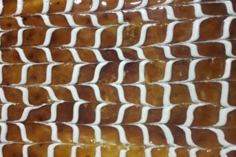 Trileçe Tatlısı (Garantili Tarif)