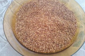 Bulgur Kavurması (Çerezlerin Yanına)