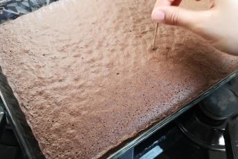 Borcamda Pandispanya Yumuşaklığında Kakaolu Kek