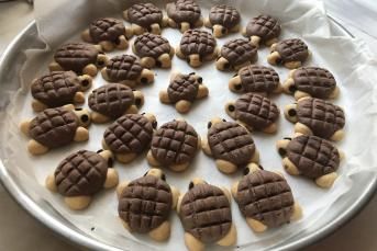 Kaplumbağa Kurabiye Tarifi