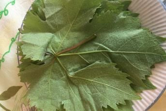 Kışlık Salamura Yaprak