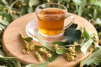 Ihlamur Hakkında Genel Bilgiler