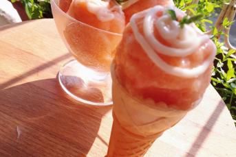 Şeftali Sorbe (Şerbetli Limonlu Eşsiz Lezzetiyle)