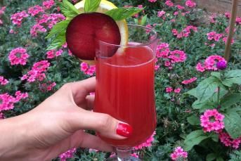 Erik Suyu Nasıl Yapılır?