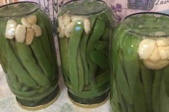 Fasülye Turşusu Tarifi