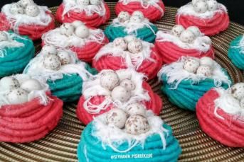 Kuş Yuvası Nasıl Yapılır?