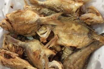 Tavada Çipura Balığı Tarifi