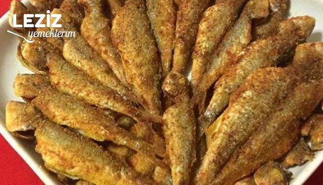 Tekir Balığı Tarifi (Kızartma)