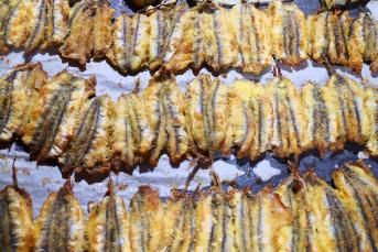 Fırında Nefis Hamsi