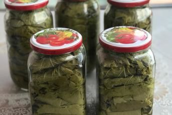 Kavanozda Salamura Yaprak