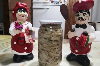 İstiridye Mantarından Nefis Turşu Yapımı