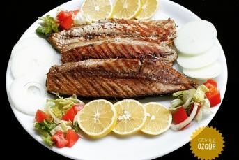 Tost Makinesinde Palamut Nasıl Yapılır