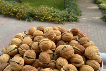 Ceviz Kurabiye (Şekli Şahane)