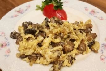 Yumurtalı Kuzu Göbeği Mantarı