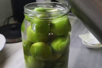 Yeşil Erik Turşusu Nasıl Yapılır