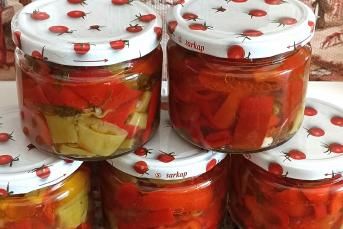 Şipşak Kolay Turşu Tarifi