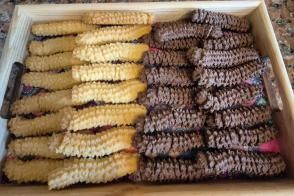 Tırtıl  Kurabiye Tarifi