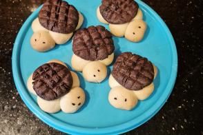 Kaplumbağa Kurabiye