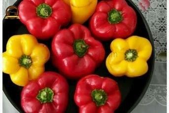 Renkli Biber Dolması