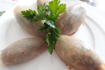 Soğan Dolması Yapılışı