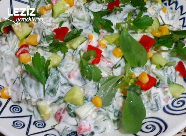 Yoğurtlu Semizotu Salatası