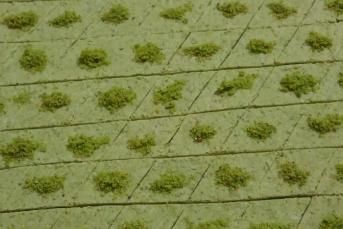 Fıstıklı Saray Helvası