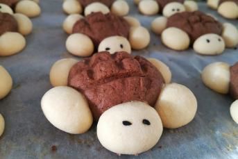 Kaplumbağa Kurabiye