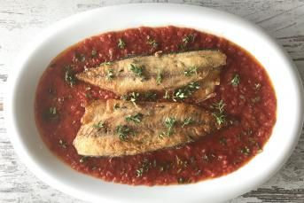 Domates Soslu Palamut