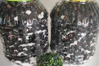 Ev Yapımı Sele Zeytin