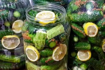 Kornişon Salatalık Turşusu