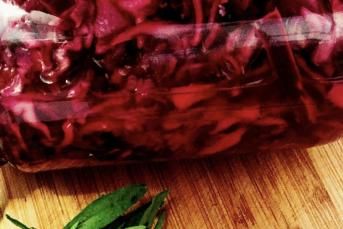 Kırmızı Lahana Turşu Kurulumu Nasıl Yapılır