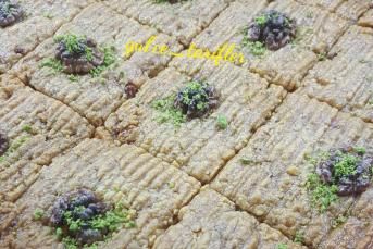 Nevzine Tatlısı Tarifi