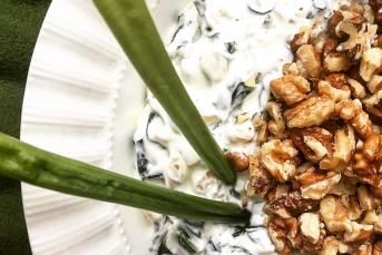 Ispanaklı Buğdaylı Yoğurt Mezesi