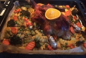 Portakallı Pekin Ördeği